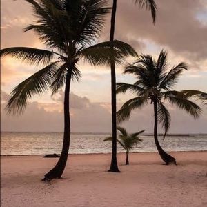 Meet your Posher, Trinity